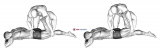 Assisted Prone Rectus Femoris Stretch