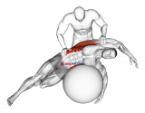 Assisted Oblique And Latissimus Dorsi Stretch On Stability Ball