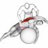 Assisted Seated Pectoralis Major Stretch With Stability Ball
