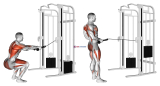 Cable Squat Row (with rope attachment)
