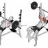 Barbell Lying Back of the Head Tricep Extension
