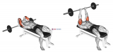 Barbell Lying Back of the Head Tricep Extension