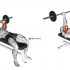 Barbell Lying Back of the Head Tricep Extension