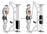 Cable One Arm Tricep Pushdown
