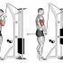 Cable Rope High Pulley Overhead Tricep Extension