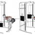 Dumbbell Lying Alternate Extension