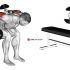 Dumbbell Lying Alternate Extension