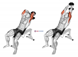 Dumbbell Incline Two Arm Extension
