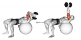 Dumbbell One Arm French Press on Exercise Ball