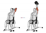 Dumbbell Seated Reverse Grip One Arm Overhead Tricep Extension