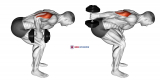 Dumbbell Standing Bent Over One Arm Triceps Extension