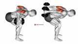 Dumbbell Standing Bent Over Two Arm Triceps Extension