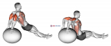 Exercise Ball Dip