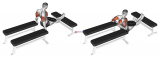 Weighted Three Bench Dips