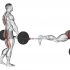 Weighted Tricep Dips