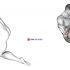 Kettlebell Standing Bottoms Up One Arm Shoulder Press