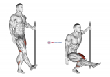 Single Leg Squat with Support (pistol)
