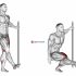 Hanging Oblique Knee Raise