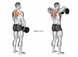 Dumbbell Upright Row (back POV)