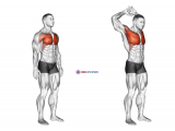 Above Head Chest Stretch