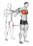 Assisted Standing Chest Stretch