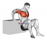 Reverse Chest Stretch
