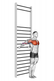 Standing Chest Stretch (with Training Wall Bars)