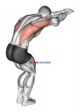 Reach forward upper back stretch