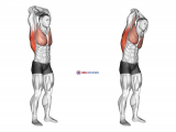 Standing reach up back rotation stretch
