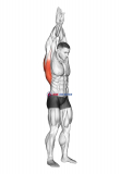 Reach up back stretch