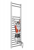Two handed hang back stretch (with Training Wall Bars)