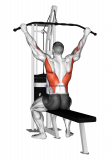 Cable Suspension Back Stretch