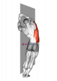 Side Lat Stretch