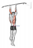 Supination Bar Suspension Stretch