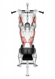 Suspension In Pulley Machine In Supination Stretch