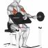 Dumbbell Bent Over Alternate Rear Delt Fly