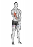 Elbow Extension And Supination – Pronation Forearm Stretch