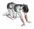 Wrist Radial Deviator And Flexor Stretch