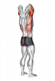 Reaching Down Triceps Stretch
