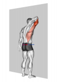 Triceps Stretch Against Wall