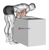 Elbow Extensor Anconeus Stretch
