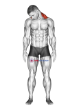 Diagonal Flexion Neck Stretch