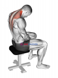 Sitting Neck Flexion Stretch