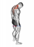 Forward Flexion Neck Stretch