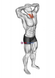 Neck Flexor Stretch