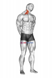 Extension And Inclination Neck Stretch