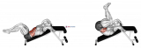Decline Bent Leg Reverse Crunch