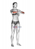 Wrist Extensor Stretch