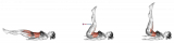 Leg Raise Hip Lift