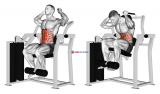 Lever Total Abdominal Crunch